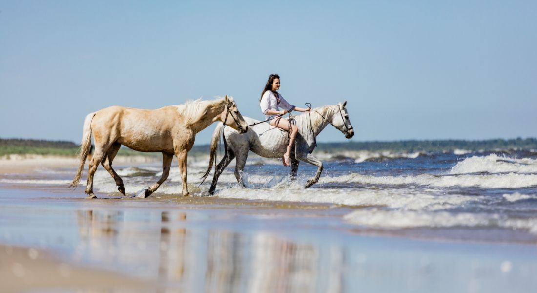 Zalety jazdy konno po plaży
