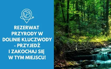 Rezerwat przyrody w Dolinie Kluczwody - przyjedź i zakochaj się w tym miejscu!