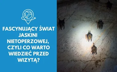 Fascynujący świat Jaskini Nietoperzowej, czyli co warto wiedzieć przed wizytą?