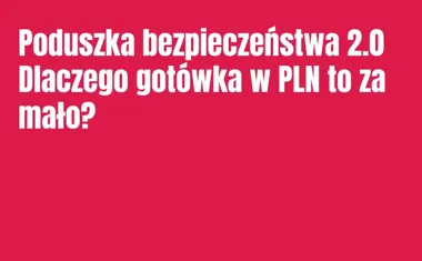 Obraz do artykułu: Poduszka bezpieczeństwa 2.0 Dlaczego gotówka w PLN to za mało