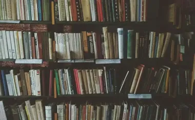 Biblioteka w Krzeszowicach zbiera dary dla schroniska - pomóż psom