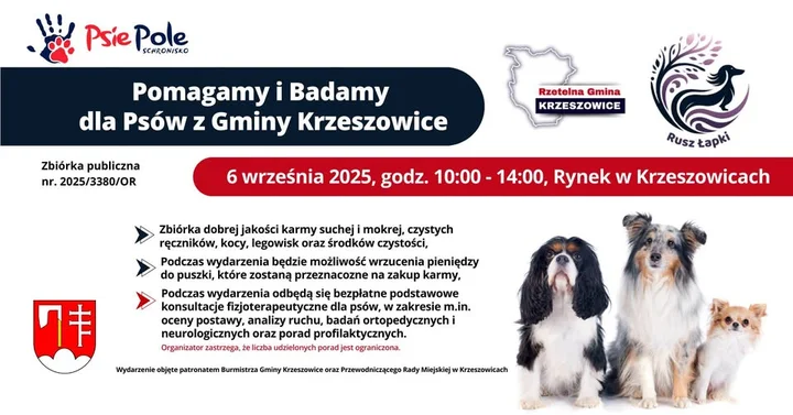 Obrazek przedstawia grafikę promocyjną wydarzenia Zbiórka i bezpłatne konsultacje dla psów na krzeszowickim Rynku