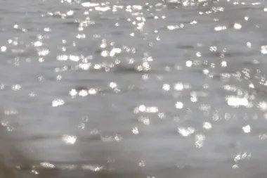 Grafika promocyjna wydarzenia Posprzątajmy dalszą część Rzeki Krzeszówki w Krzeszowicach